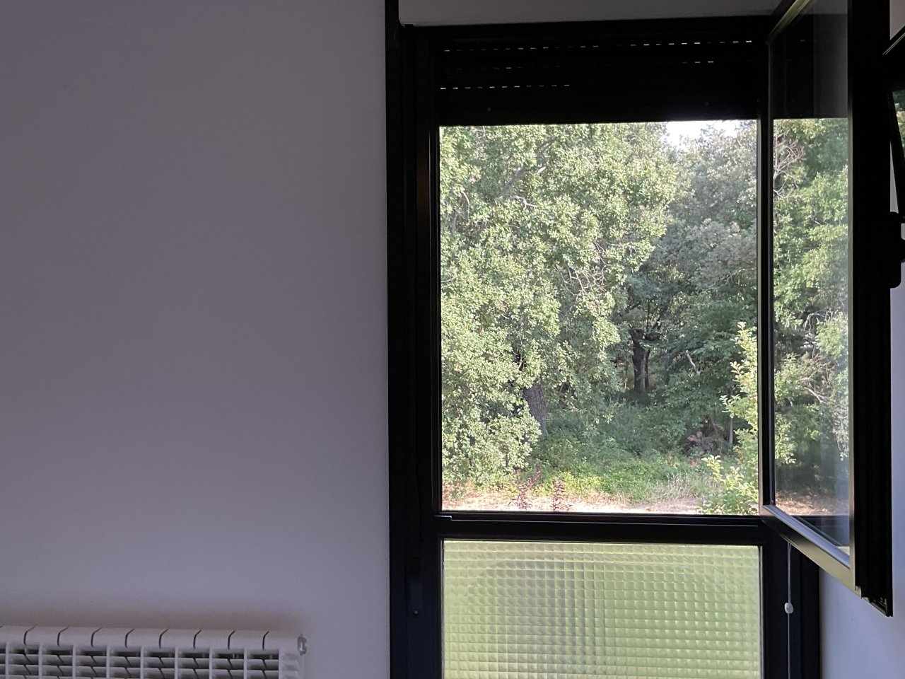 Foto 68