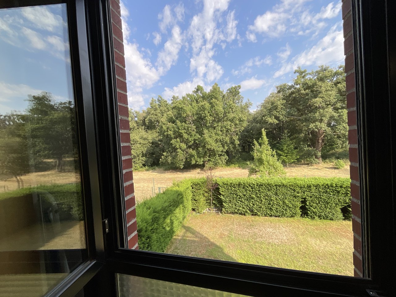 Foto 52