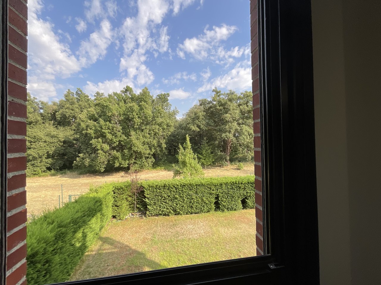 Foto 59