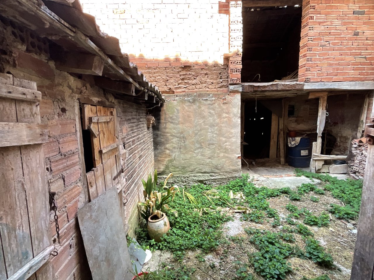 Foto 51