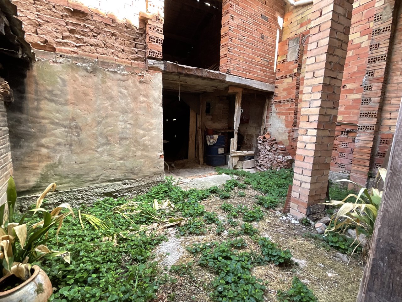 Foto 52