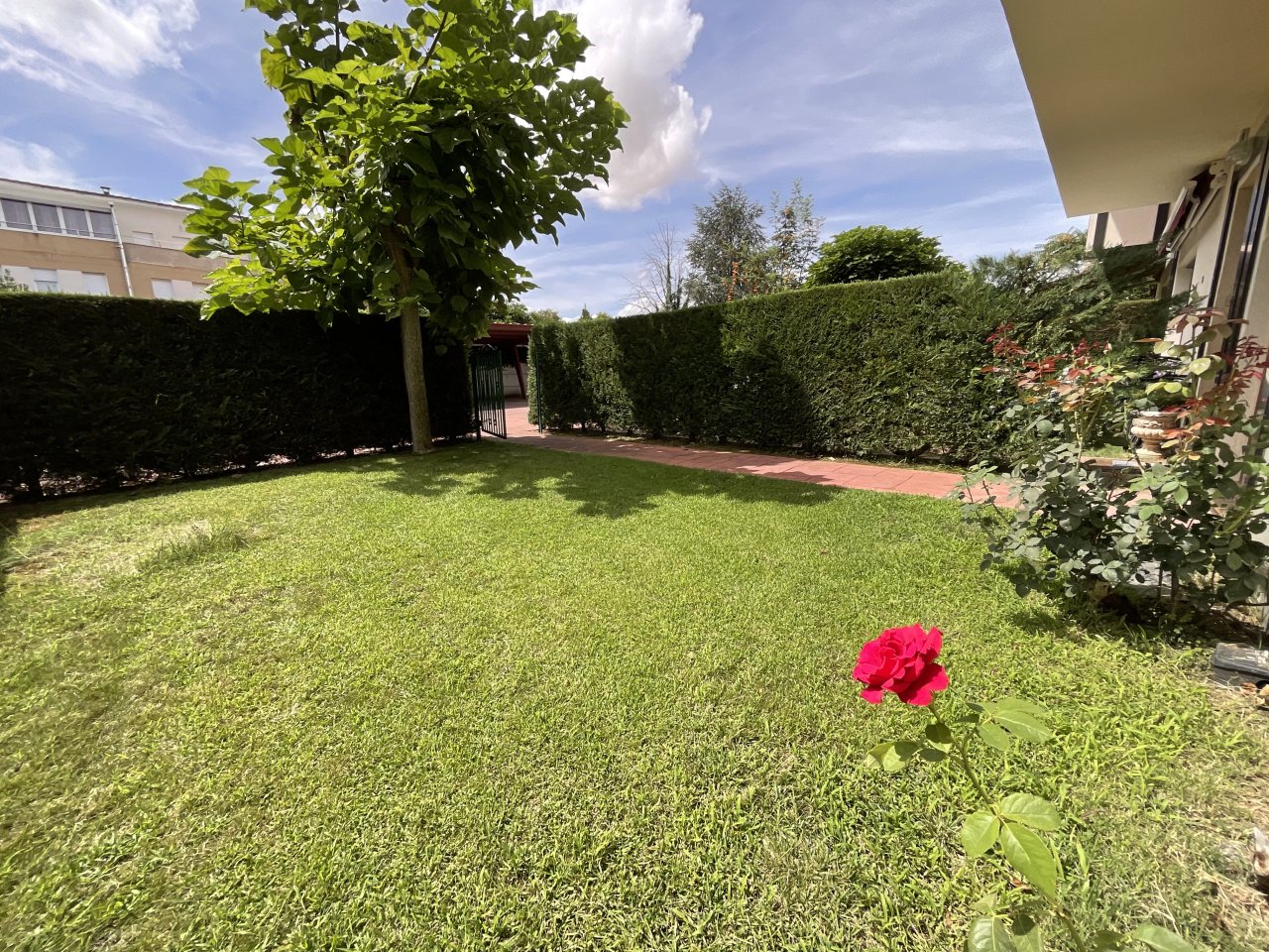 Foto 48